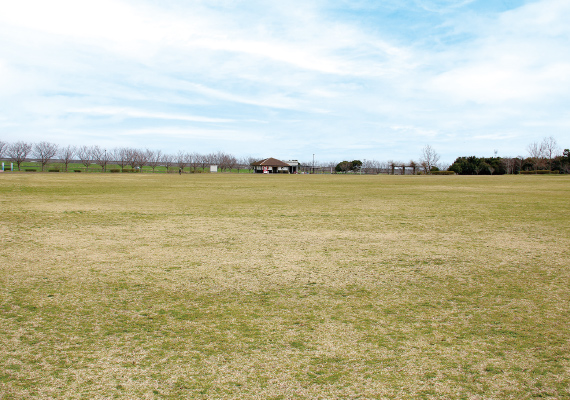 写真：干潟よか公園 3