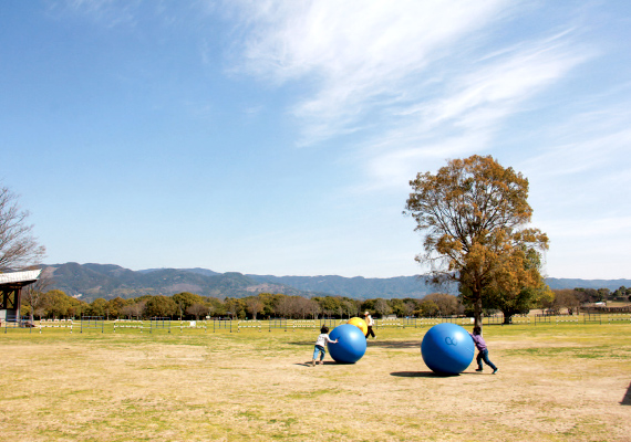 写真：吉野ヶ里歴史公園 3