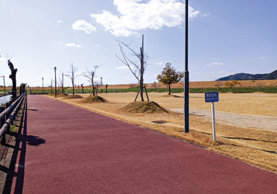 写真：牛津総合公園 3