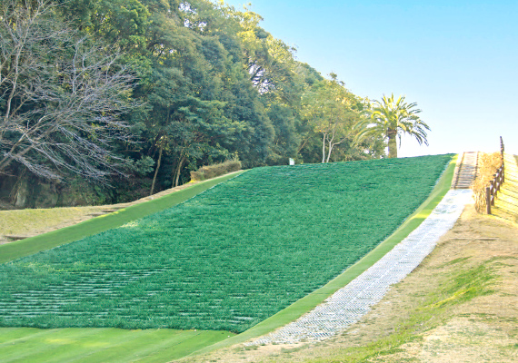 写真：いまり夢みさき公園 3