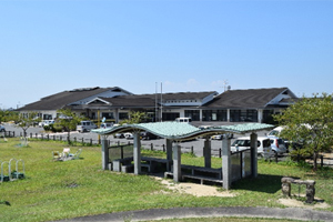 公園の様子