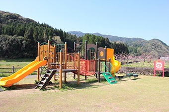 公園の写真