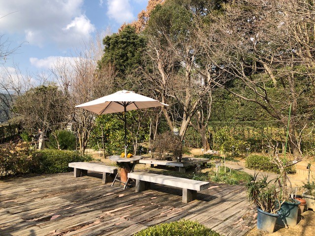 薬木薬草園