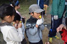 お友だちと仲良く半分こしながら食べる様子