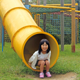 さが21世紀県民の森の写真